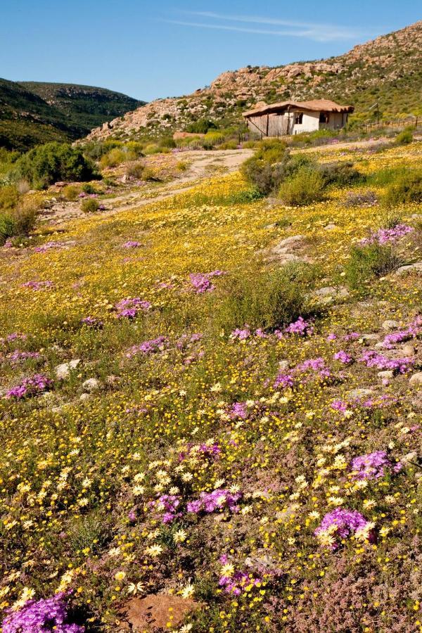 Oudrif Farm